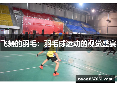 飞舞的羽毛：羽毛球运动的视觉盛宴