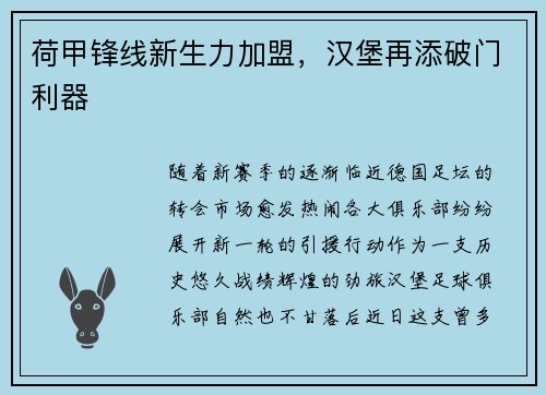 荷甲锋线新生力加盟，汉堡再添破门利器